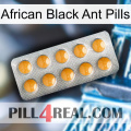 African Black Ant Pills levitra1